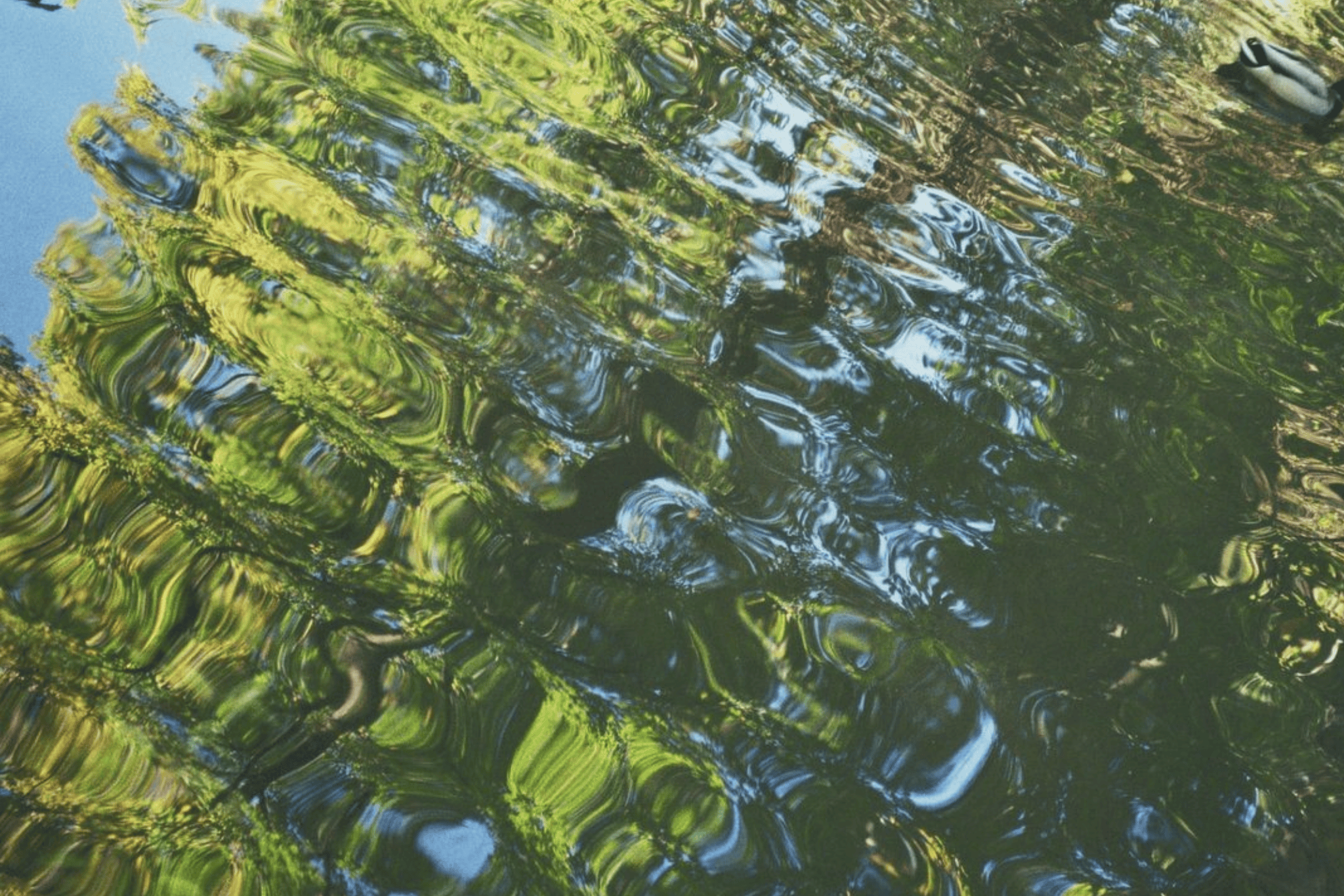 State Anxiety: The Hidden Impact