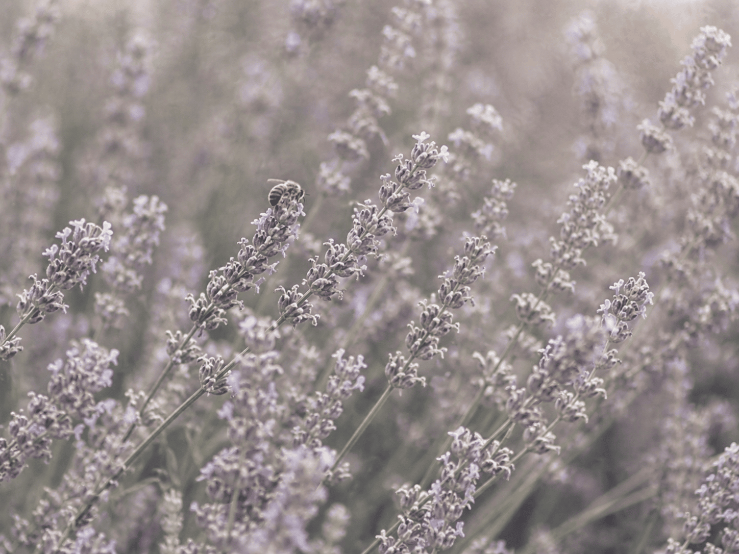 Treatment for Epilepsy: Best Options