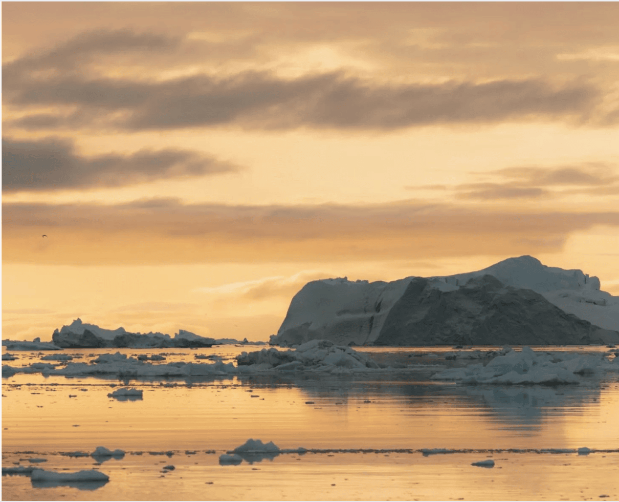 Mental Health After a Cancer Diagnosis