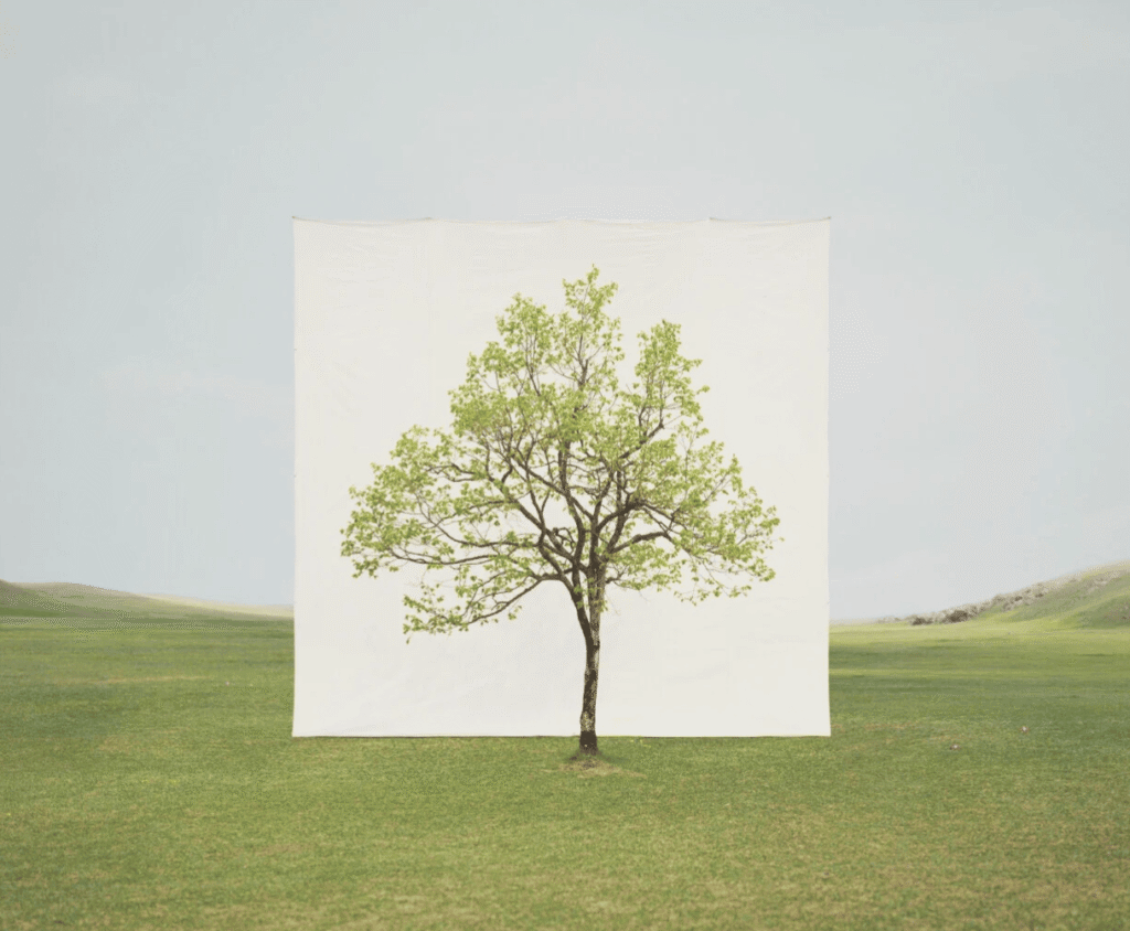 Signs of autism in adult women