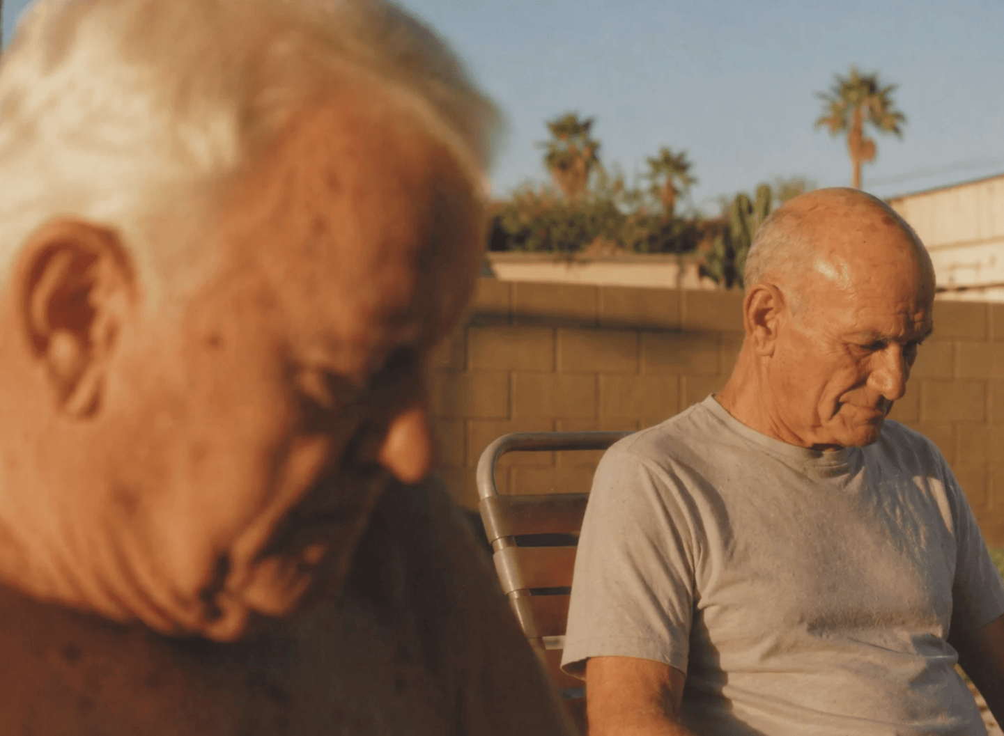 Brain Fog Anxiety: Alzheimer’s & Awareness